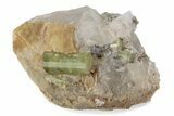 Lustrous Yellow-Green Apatite Crystals on Calcite - Morocco #376601-1